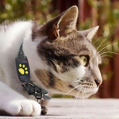 PawGuard Smart GPS Cat Tracker
